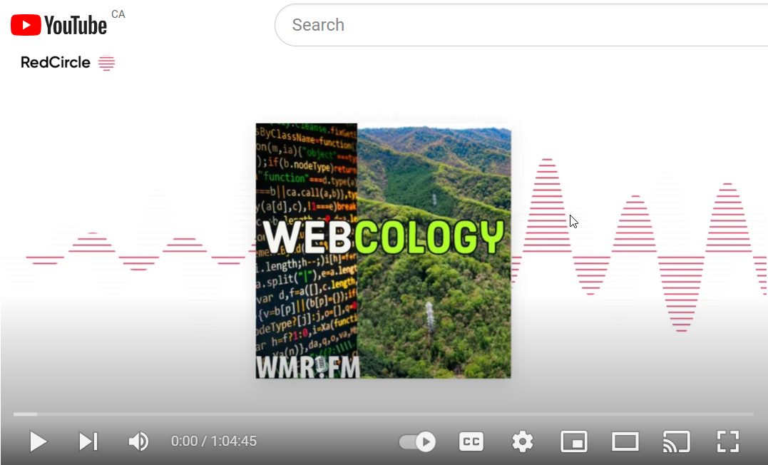 Picture of YouTub page - Webcology June 29, 2023: Alan K'necht discusses the GA4 rollout and end of Universal Analytics with show hosts